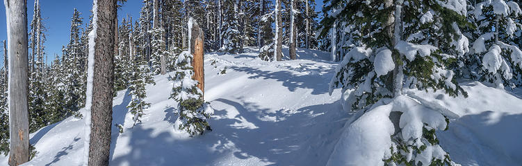 The summit of Pechugh Pk