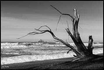 Rialto Beach