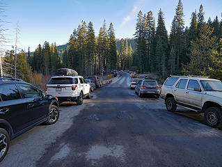 Ridiculous number of cars. This is a no parking zone by the way. 
Tumalo Falls Winter Road walk, Bend OR, 1/1/18