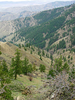 Looking down one of the many canyons