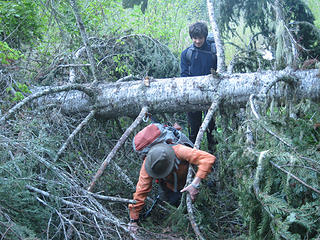 Plowing through the avalanche debris