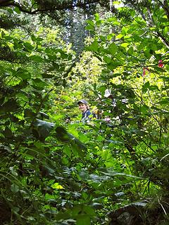 Karen2 bushwacking through the alder