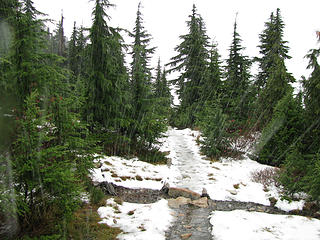 thick rain on pilchuck