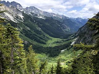 Spider Meadows