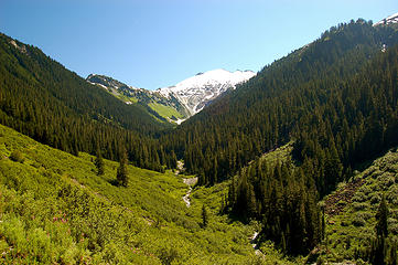 Ruth Creek looking northeast