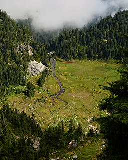 Looking from the shoulder of Mount Pleasant down into Mist Park.