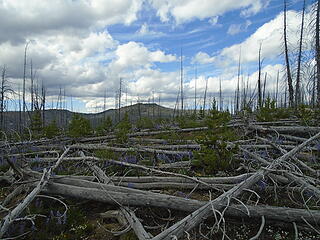 McKay Peak in Distance from ridgetop