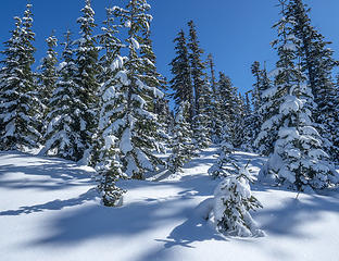 On the W Ridge of Pechugh Pk