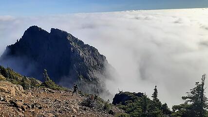 topping out in gully