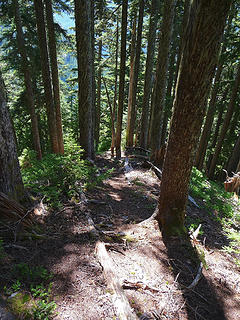 The endless Green Ridge trail