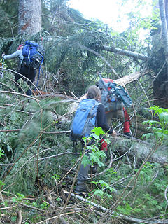 Plowing through the avalanche debris