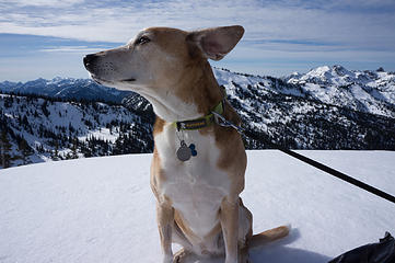 Liesl - There was a very strong wind here, as evidenced by her ear