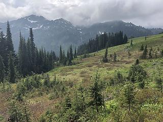 Cady Ridge Trail 7/5/19