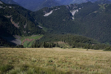Looking down the slope to the meadow below. Just below the center you can see where the avalanche went barreling through the trees