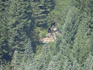 From afar, perhaps a bridge near the Hidden Falls on the Tarbell Trail.