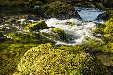 Big Quilcene River