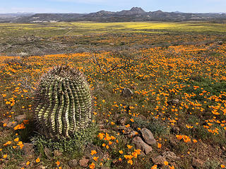 Peridot Mesa - Arizona