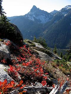 Fall color & Cathedral Rock