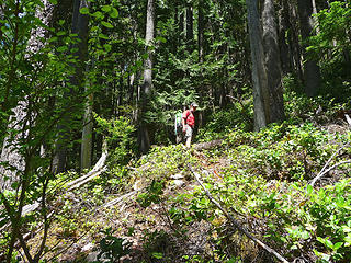 More Green Ridge trail