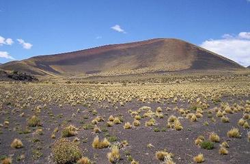 reserva-de-la-payunia