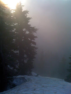 Sun glances off the trees in a sea of fog