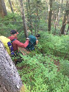 Liza and Paul into the bush.