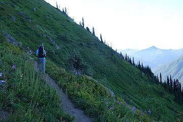 Along the PCT