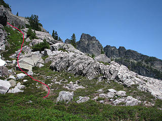 Tricky junction. The climbers path peels off to the left, just before here. The obvious trail goes down to the other drainage. The faint trail can be seen across the heather.