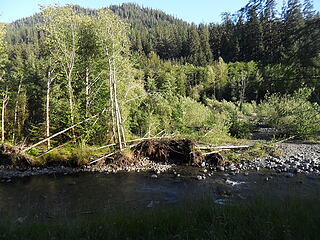 view to the river from one of the camp meadows (I don't think this campsite will last much longer)