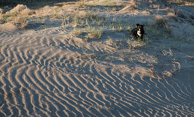 Staying off the sand until I'm done with photos :-)