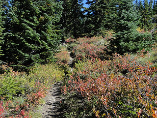 Views heading up Shriner Peak trail.