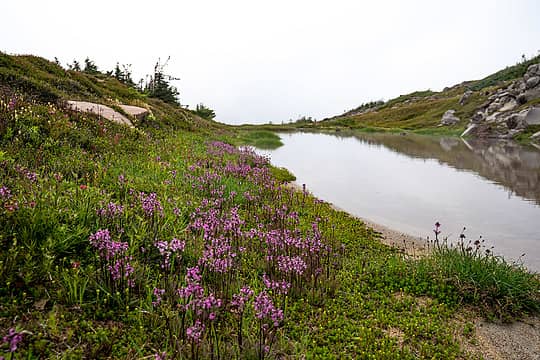 spray park tarn