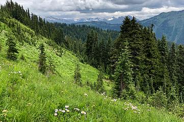 Cady Ridge Trail 7/5/19