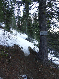 Some spotty snow coverage on the most sun-exposed slopes a bit below 5000ft