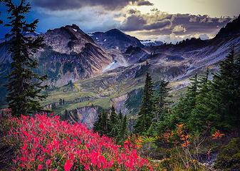 Artist Point Dressed to Impress (Landscape)