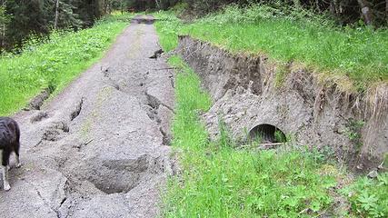 slump and broken 36" culvert