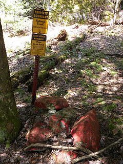 Allegheny Trail #701 on Shavers Mountain survey marker where it enters national forest from private land on Allgheny Trail