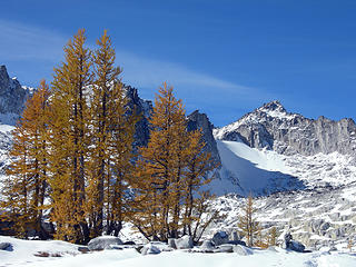 Larches in the Enchantment Basin, Dragontail in the background.