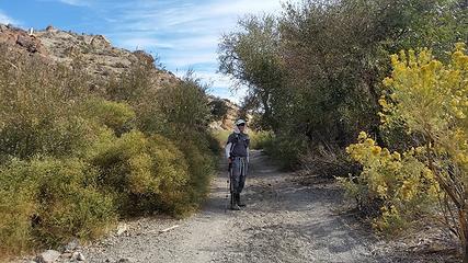 treed road to Barker Ranch