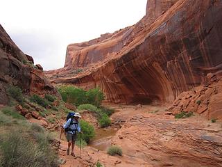 Jerry reaches Coyote Gulch