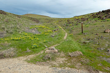 Trailhead with beautiful flowers