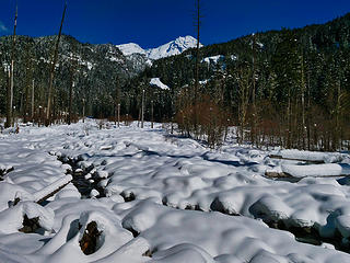 Tahoma Creek