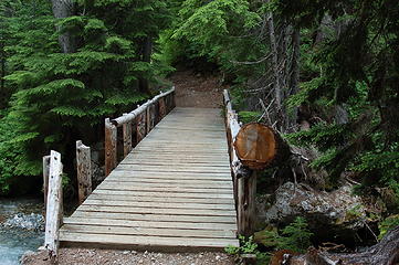 Bridge at Lemah Meadows Holding up a Tree