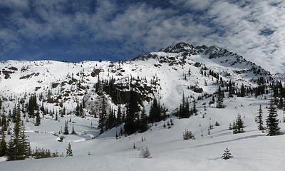 Creek from the Lake Grace area and Snowgrass