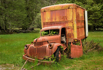 Quinault Truck (1 of 1)