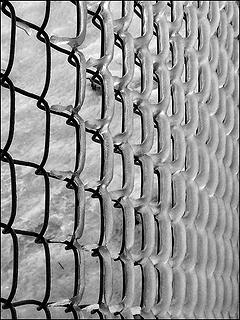 B&W Iced Chain Link Fence, 12.16.08.