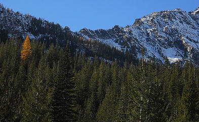 Grindstone Mountain and Larch from the Chatter Creek Trail 10/25/17