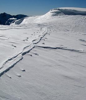 Wind-eroded Ski tracks near the Elephants Shoulder