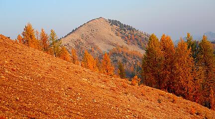 Looking up the crest to Battle, but there are some outcrops hidden in between