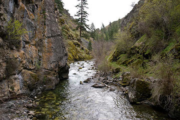 View along the Rapid River Trail, Seven Devils Mountains, Idaho.
